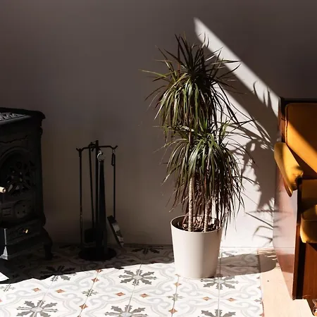 Apartment Quintana, A Junior With Private Pool! Argiroupolis